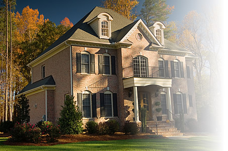 tree removal knoxville