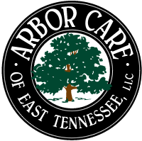 Arbor Care of East Tennessee - Knoxville Tree Care Service